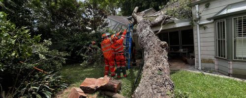 550769375_687699120340601_4942529785581360975_n