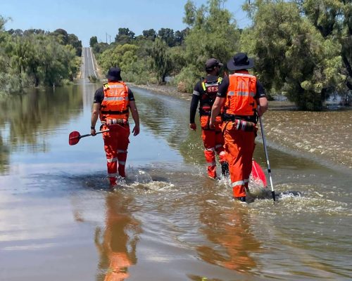 550790704_1300404521878738_5070633328442582648_n