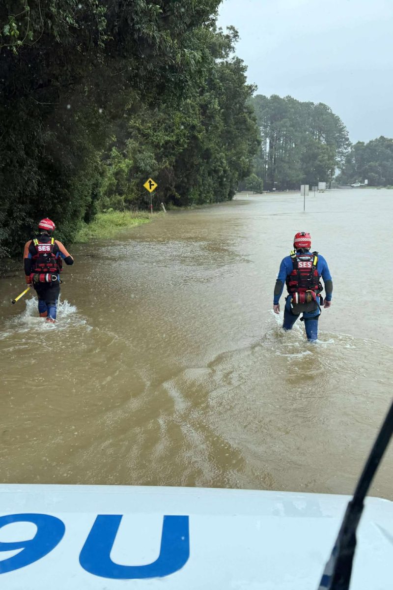 551702272_809357684923358_2218629700003792465_n